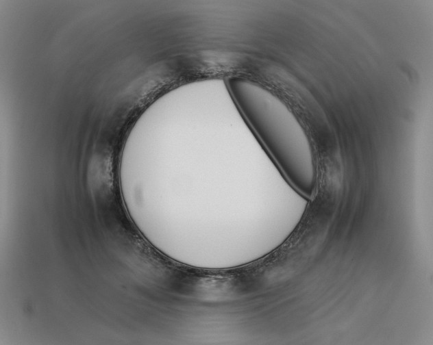 X0000113350700200910131240