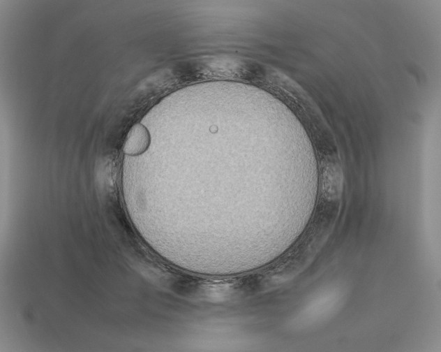 X0000113350701200910131240