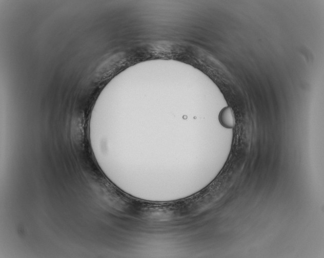 X0000113350702200910131239