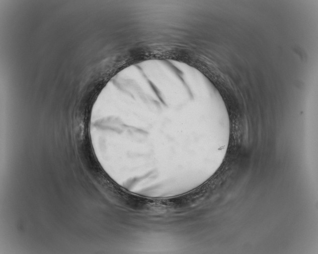 X0000113350703200910131239