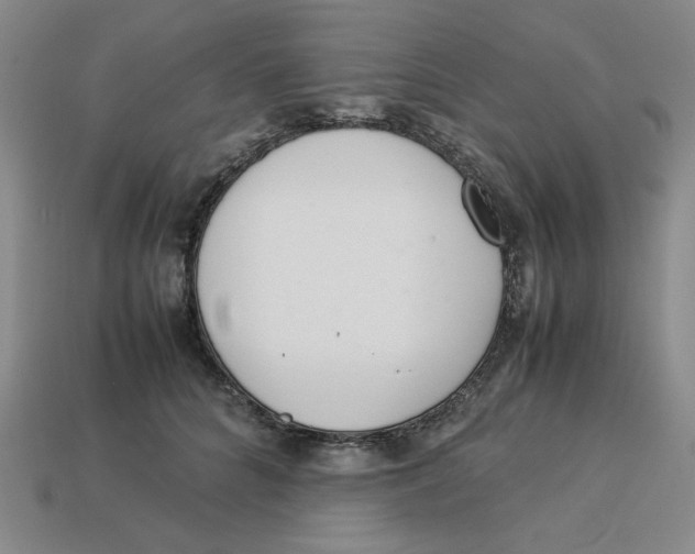 X0000113350704200910131239