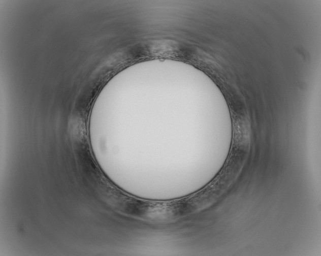 X0000113350705200910131239