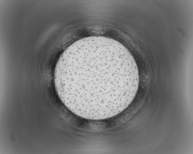 X0000113350707200910131239