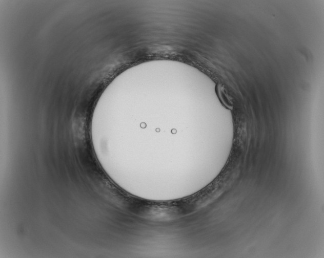 X0000113350708200910131239