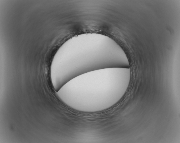 X0000113350709200910131239