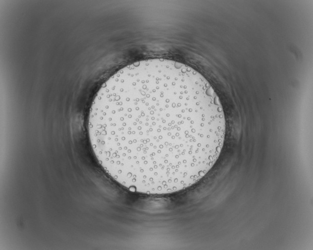 X0000113350711200910131239