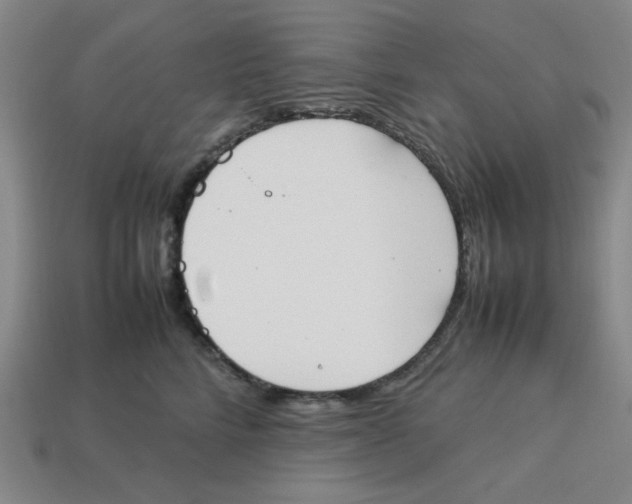 X0000113350712200910131239