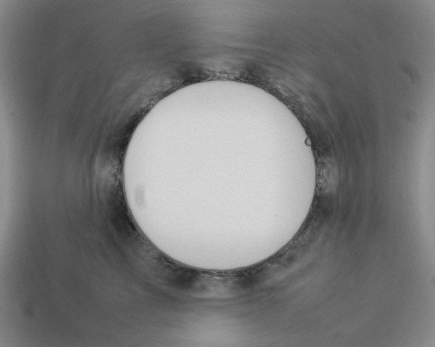 X0000113350713200910131239