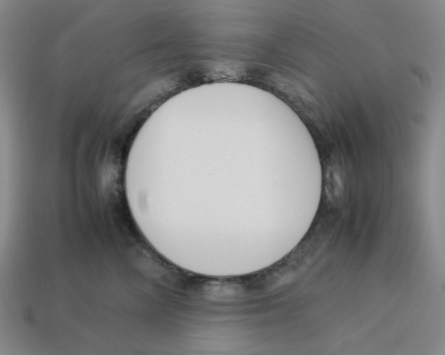 X0000113350714200910131239