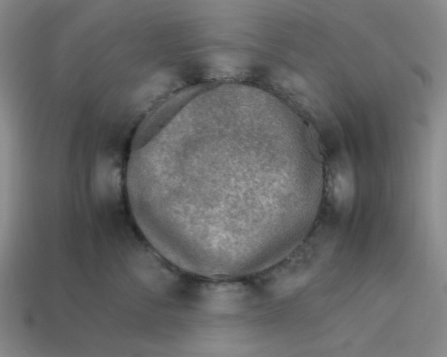 X0000113350716200910131239