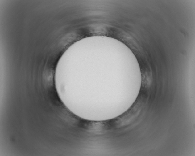 X0000113350717200910131239