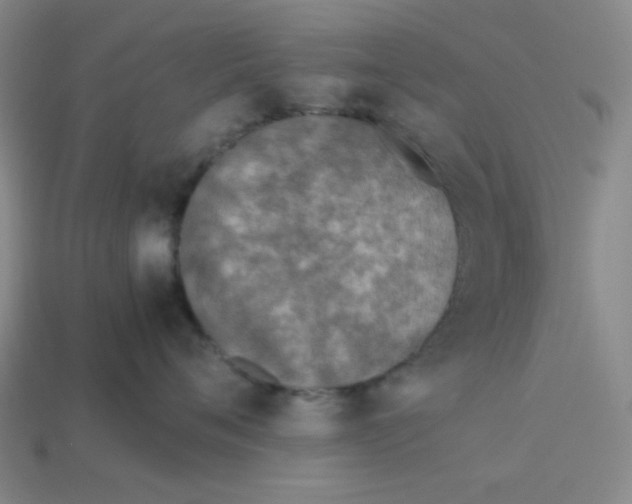 X0000113350720200910131239