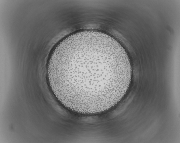 X0000113350721200910131239