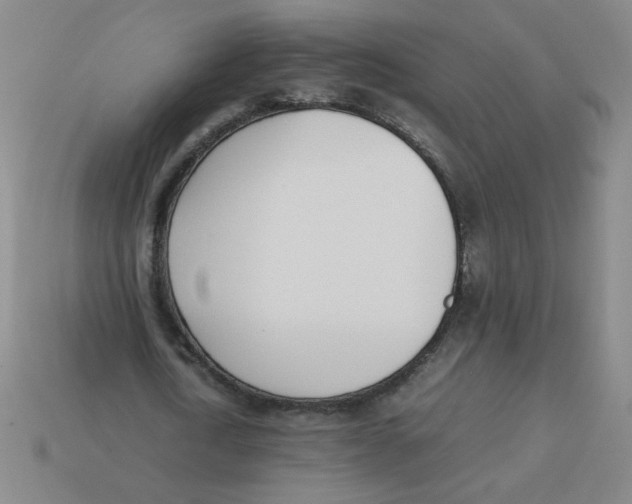 X0000113350722200910131239