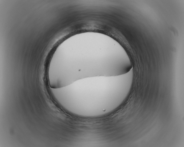 X0000113350724200910131239