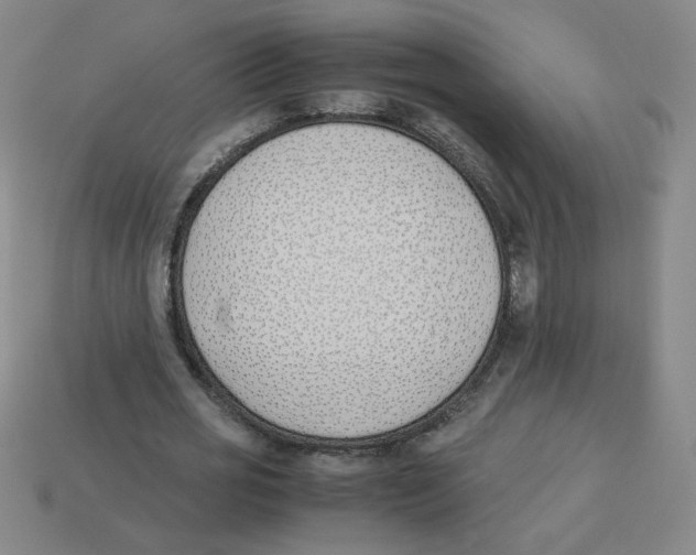 X0000113350725200910131239