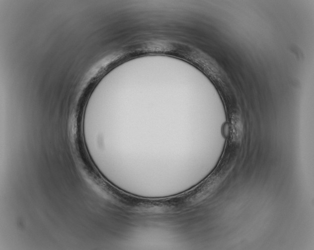 X0000113350726200910131239