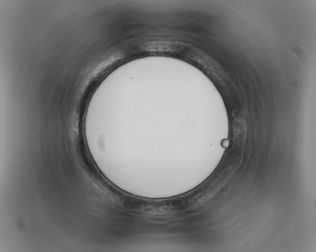 X0000113350727200910131239