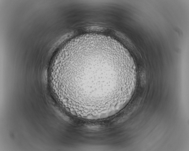 X0000113350729200910131239