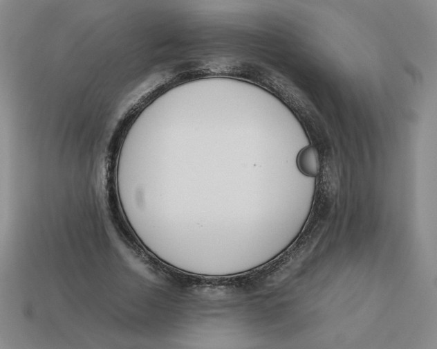 X0000113350730200910131239