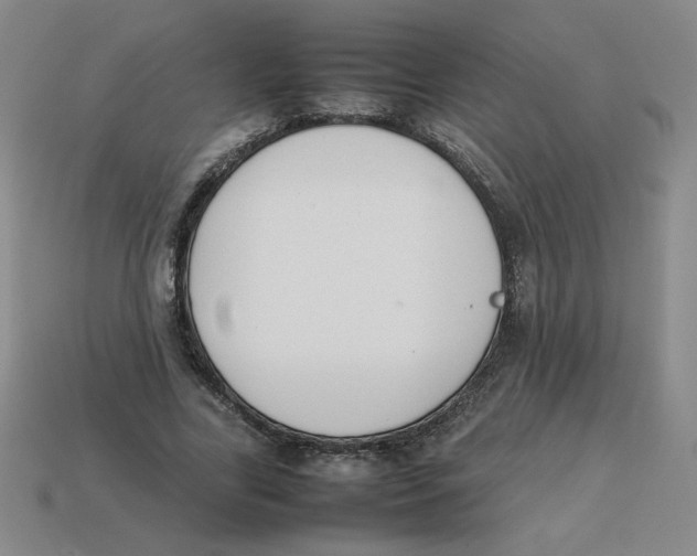 X0000113350731200910131239