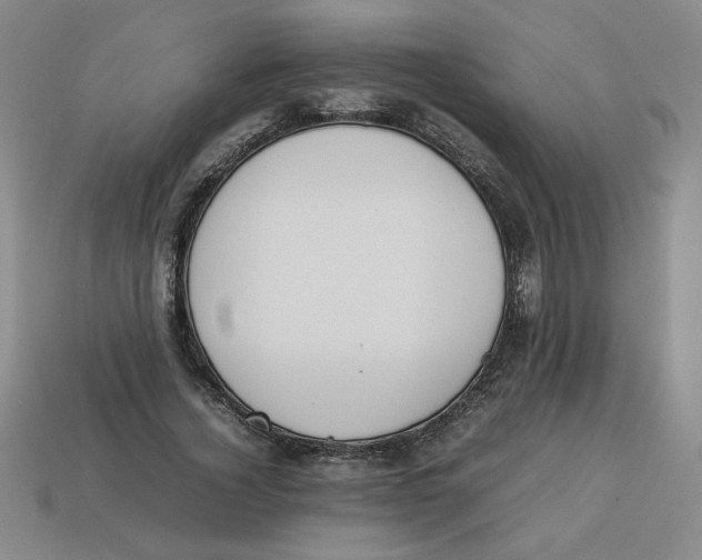 X0000113350732200910131239