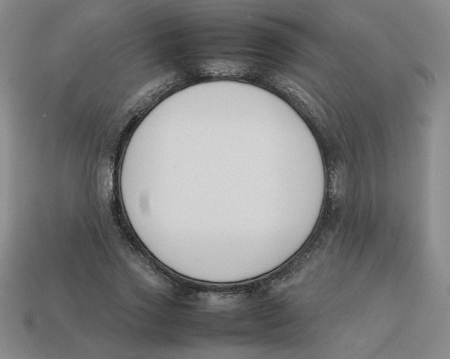 X0000113350733200910131239