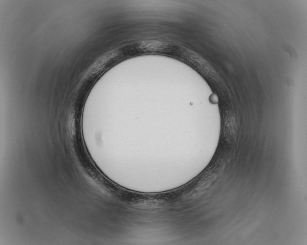 X0000113350734200910131239