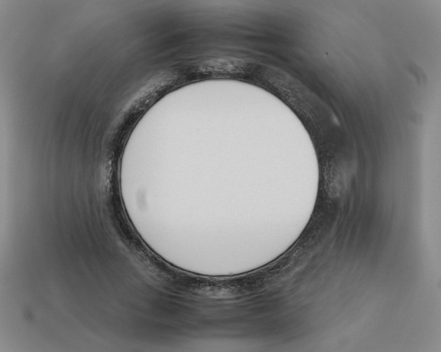 X0000113350735200910131239