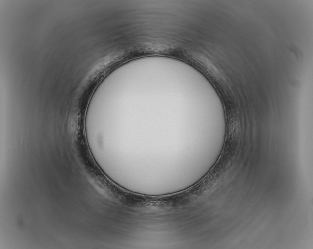 X0000113350736200910131239