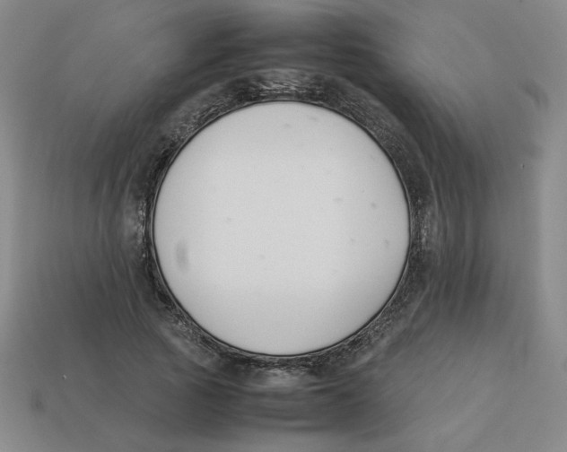 X0000113350737200910131239