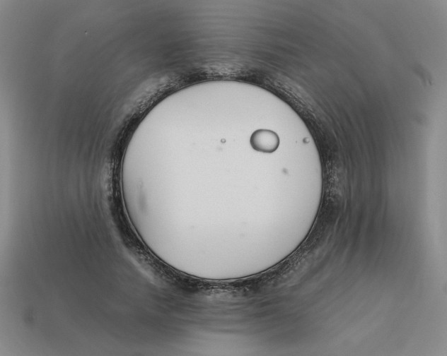 X0000113350738200910131239