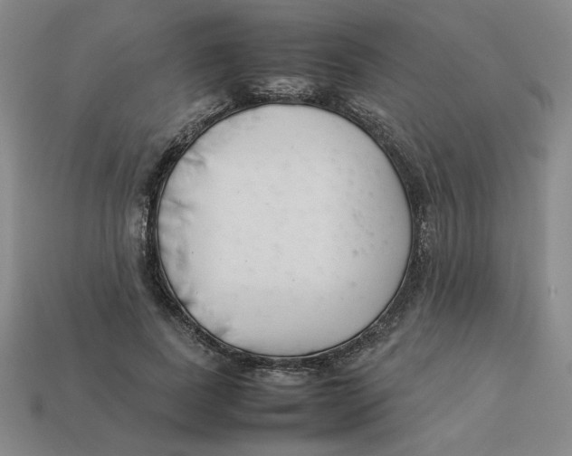 X0000113350739200910131239