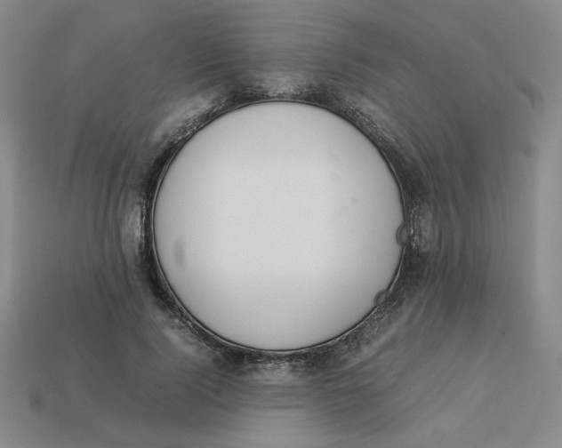 X0000113350740200910131239