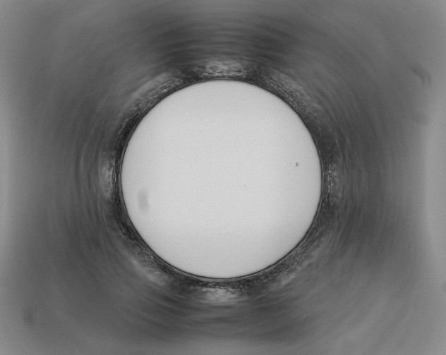 X0000113350741200910131239