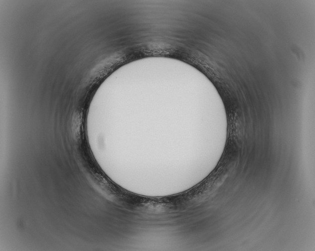 X0000113350742200910131239