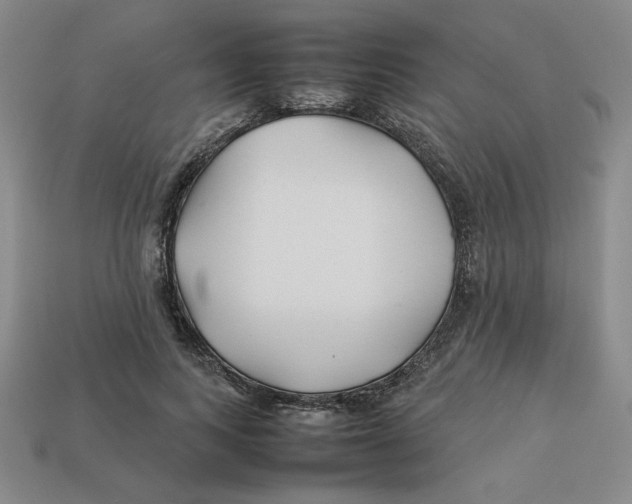 X0000113350743200910131239