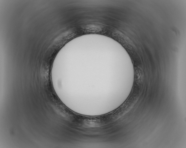 X0000113350745200910131239