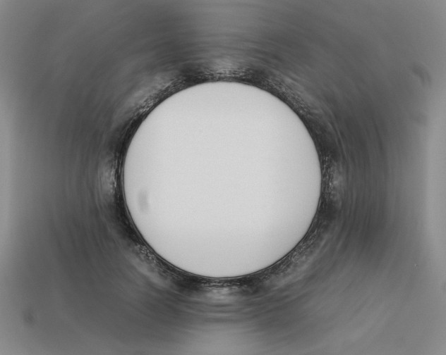 X0000113350746200910131239