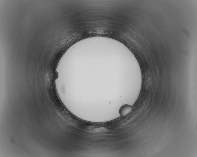 X0000113350747200910131239