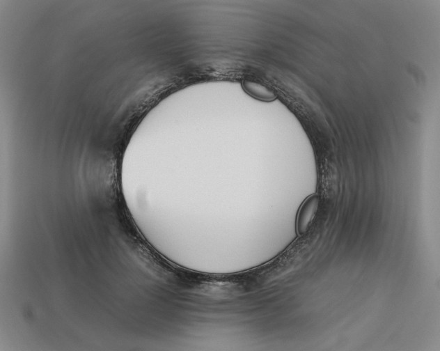 X0000113350748200910131239