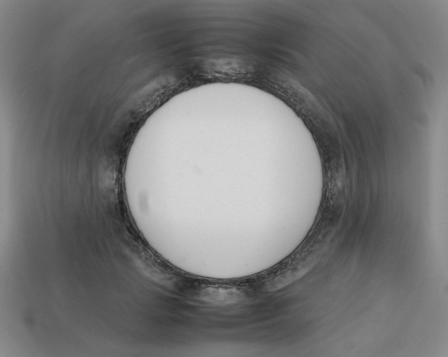 X0000113350749200910131239