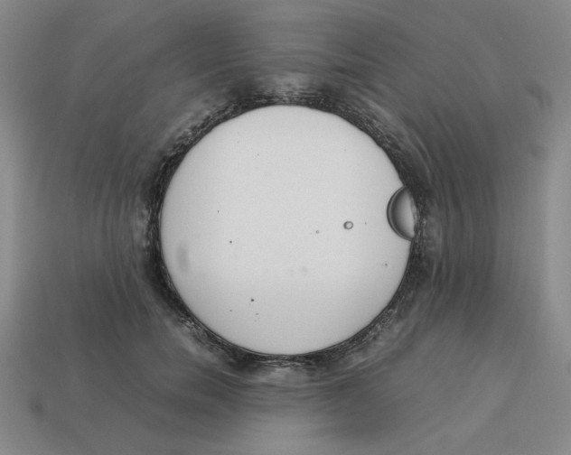 X0000113350750200910131239