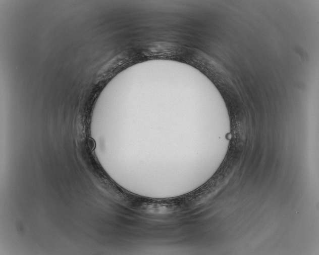 X0000113350751200910131239