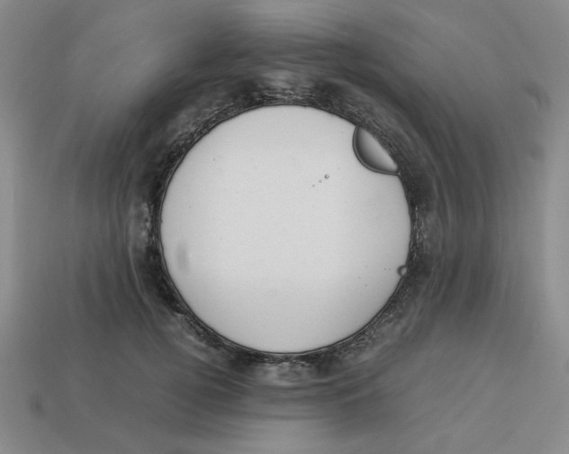 X0000113350752200910131239