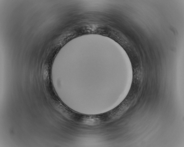 X0000113350754200910131239