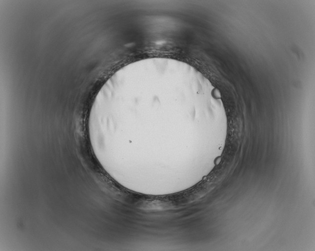 X0000113350755200910131239