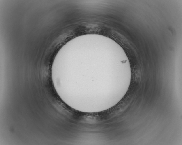 X0000113350756200910131239