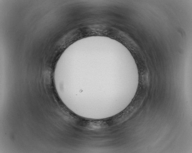 X0000113350757200910131239