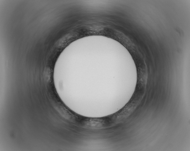 X0000113350758200910131239